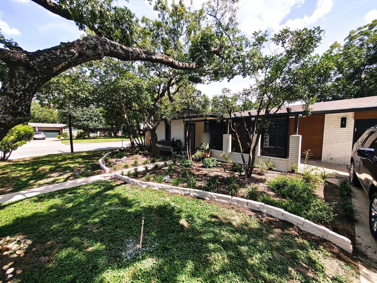 Front Yard Landscaping Refresh